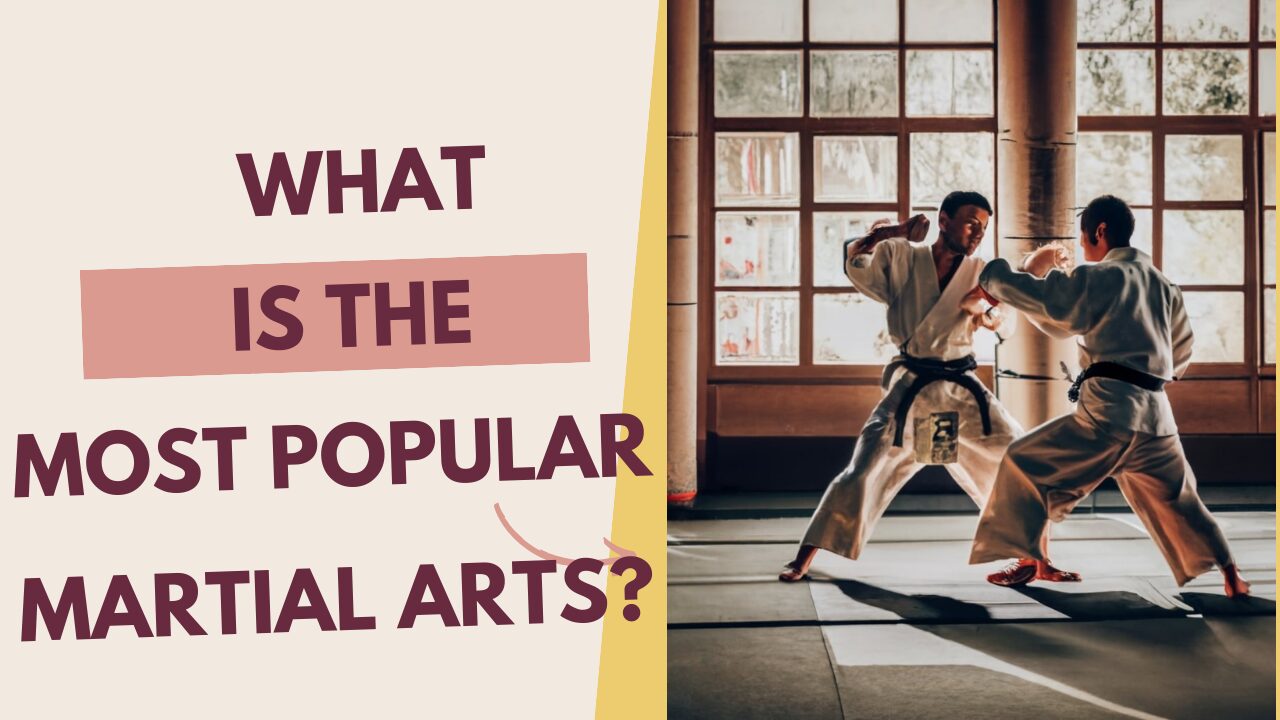 What Is the Most Popular Martial Arts Top 8